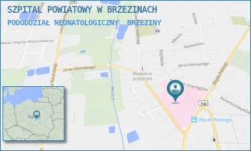 PODODDZIAŁ NEONATOLOGICZNY - SZPITAL POWIATOWY W BRZEZINACH - UL. MARII SKŁODOWSKIEJ-CURIE 6,  BRZEZINY