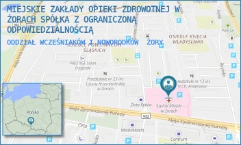 ODDZIAŁ WCZEŚNIAKÓW I NOWORODKÓW - MIEJSKIE ZAKŁADY OPIEKI ZDROWOTNEJ W ŻORACH SPÓŁKA Z OGRANICZONĄ ODPOWIEDZIALNOŚCIĄ - UL. DĄBROWSKIEGO 20,  ŻORY