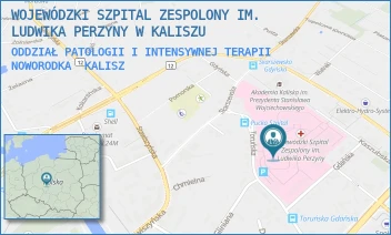ODDZIAŁ PATOLOGII I INTENSYWNEJ TERAPII NOWORODKA - WOJEWÓDZKI SZPITAL ZESPOLONY IM. LUDWIKA PERZYNY W KALISZU - TORUŃSKA 7,  KALISZ